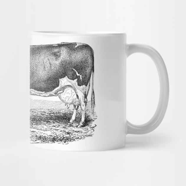 Cow with Calf Black and White Illustration by Biophilia